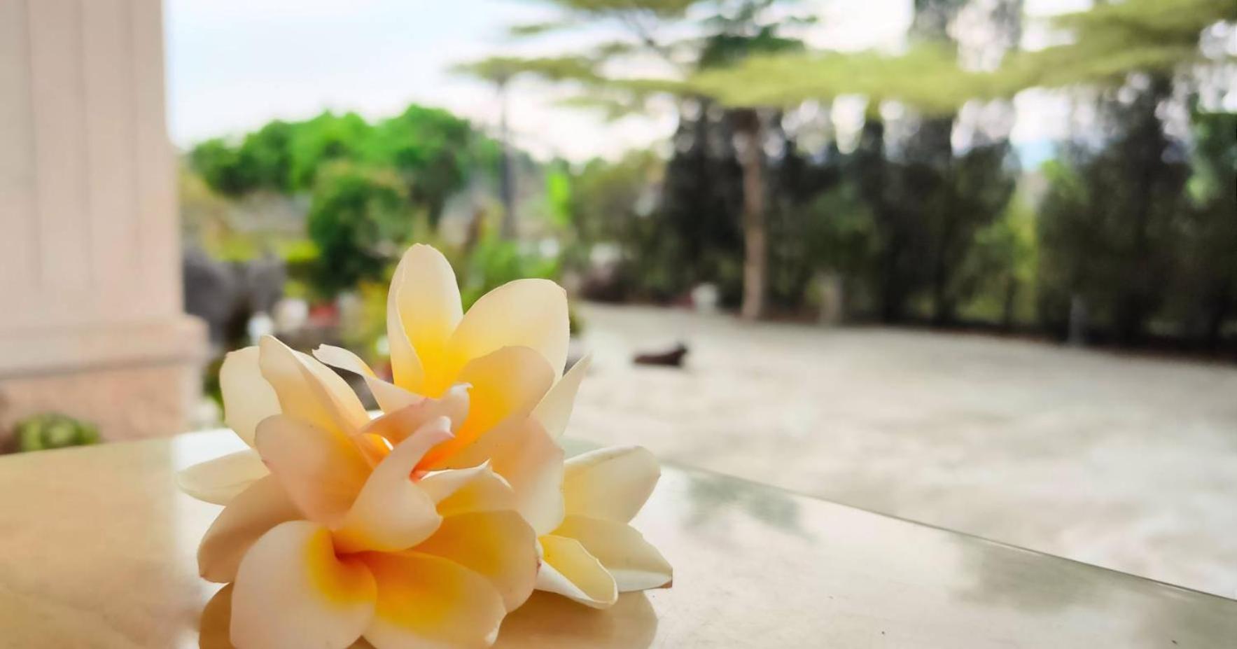 登雲villa Shan-lin Extérieur photo